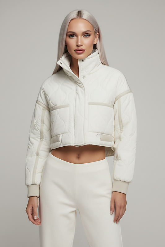 Stand-collar winter jacket, flat lay back view.