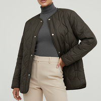 mujer-black-quilted-jacket-women-padded-demi-season-jackets-for-women-long-sleeve-winter-coat-female-outerwears-womens-jacket - mujer-black-quilted-jacket-women-padded-demi-season-jackets-for-women-long-sleev-x2.png